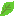 葉っぱ