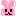 うさぎ