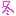 冬