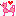 ワンコ2