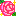 薔薇３