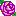 薔薇紫１