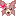 パピヨンクリームちゃん１リボン