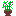 鉢植え
