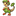 キノガッサ
