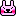 うさぎ