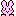 うさぎ