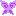 蝶