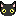 猫(クロ)