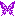 蝶々(パープル)