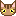 猫(りゅう)