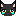 猫(クロ)