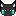 猫(クロ)