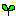 新芽