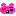 かいぞくぐま