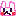 うさぎ