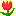 チューリップ