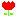 チュウッリプ