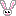 うさぎ