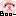 フェレットBoo