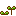 はっぱ