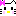 キティ