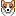ウェルシュコーギー