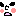 顔