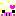 ぶたくんきらきら☆
