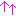 ↑↑
