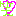 wwww
