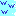 www