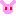 クビツリウサギ