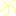 Plumeria 4