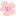 梅