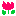 tyurippu