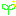 芽生え
