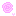 薔薇