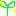 きらり