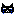 ネコ　泣き