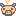 ぶた
