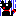黒猫がーん