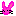 うさぎ