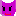 ピンネコ