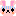 青ざめうさぎ