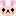 うさぎ