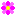 お花