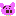 豚