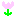 お花