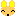 チワワ　ニコ